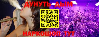 гидра Краснознаменск