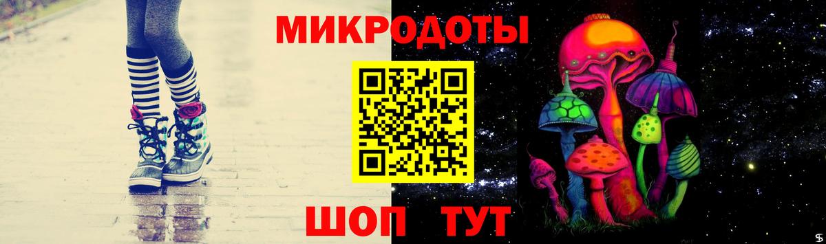 Галлюциногенные грибы Psilocybe  Вход с VPN  Каменка 